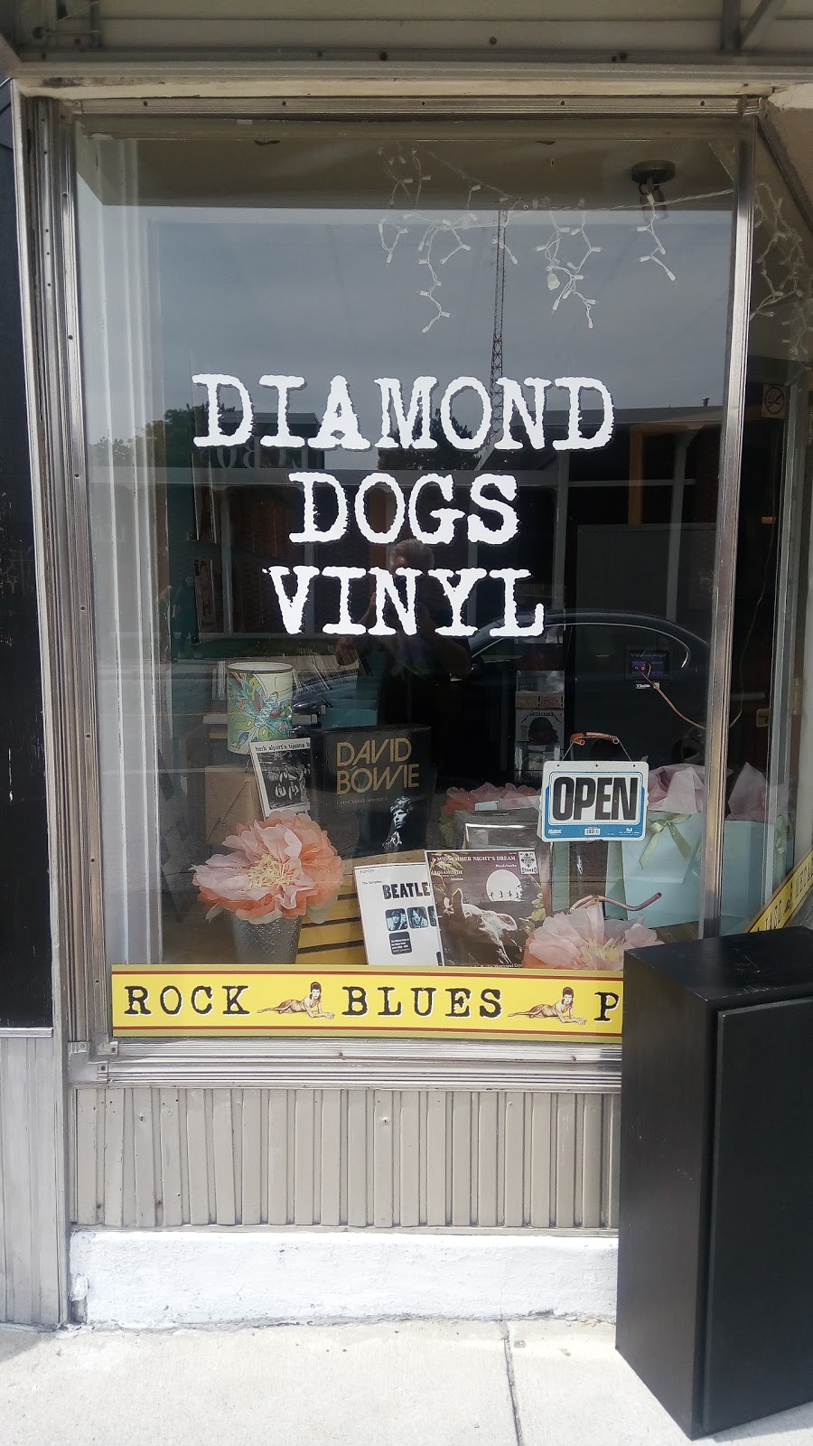 Diamond Dogs Vinyl